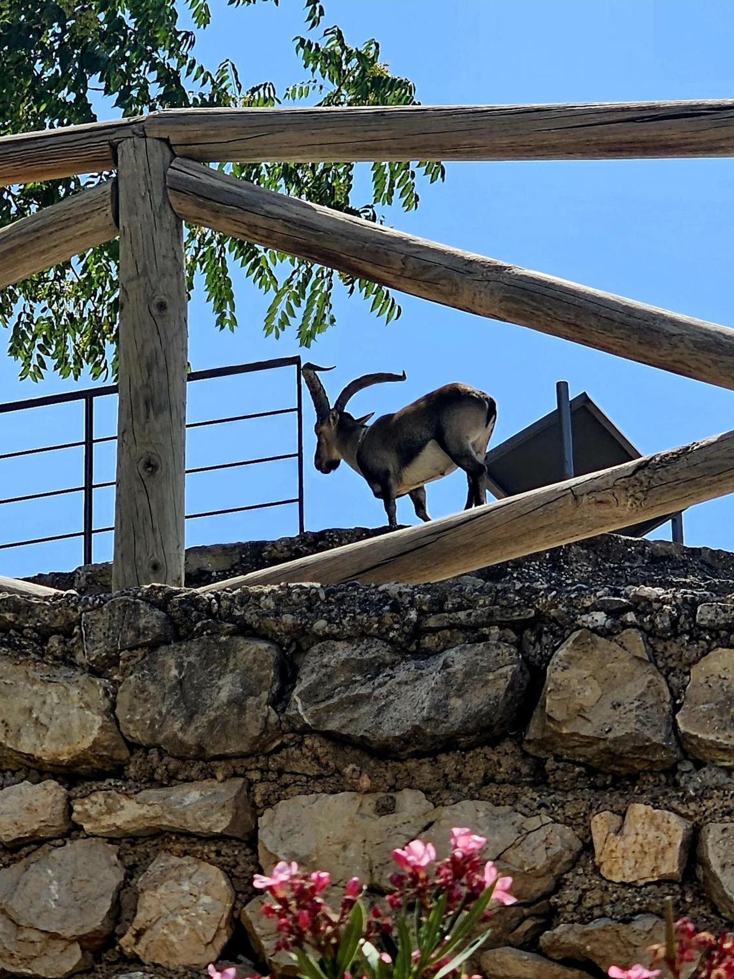 La Mocha Casa Rural La Casa De Ani لا إرويلا المظهر الخارجي الصورة